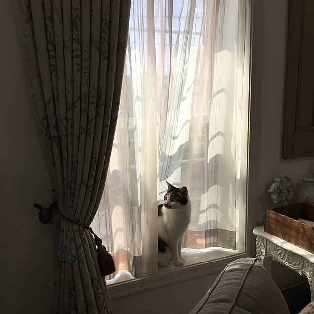 yuchiさんの実例写真
