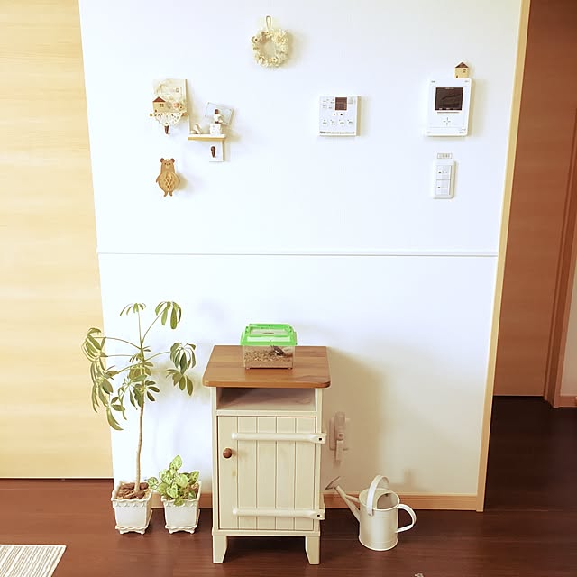 Haruさんの実例写真