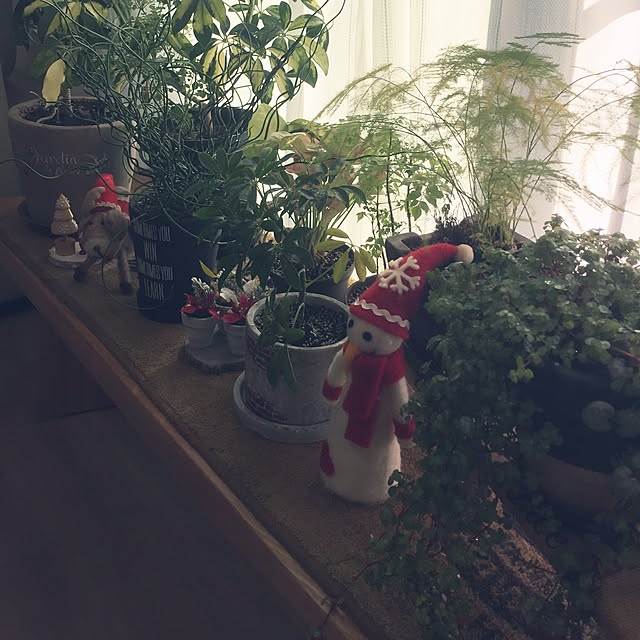 実例写真