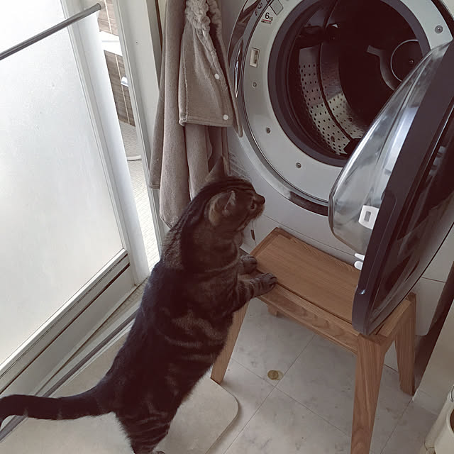 mikomaruさんの実例写真