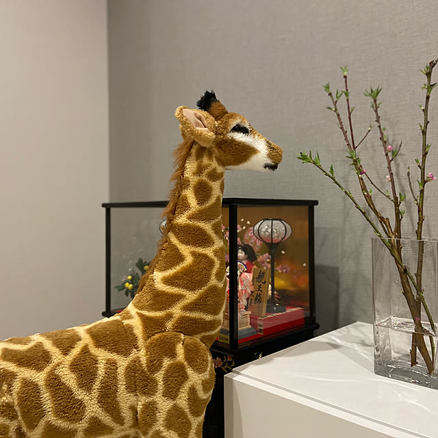 SATOEさんの部屋