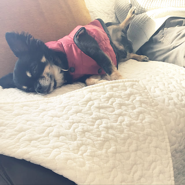 sakuさんの実例写真