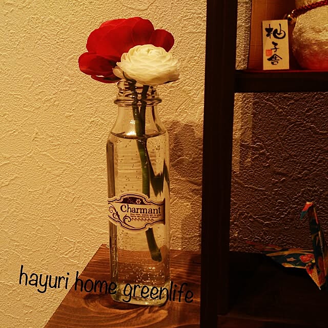 misaさんの実例写真