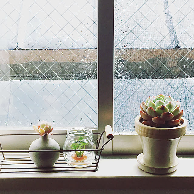 USBさんの実例写真