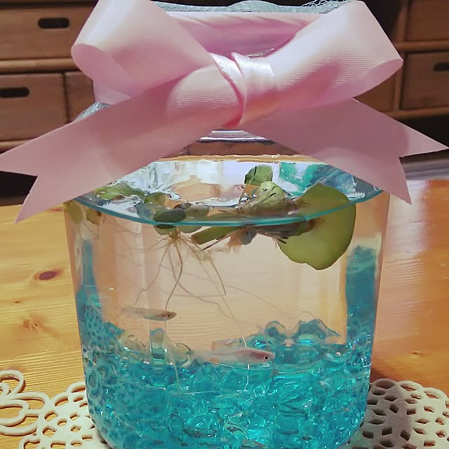 kaorinさんの実例写真