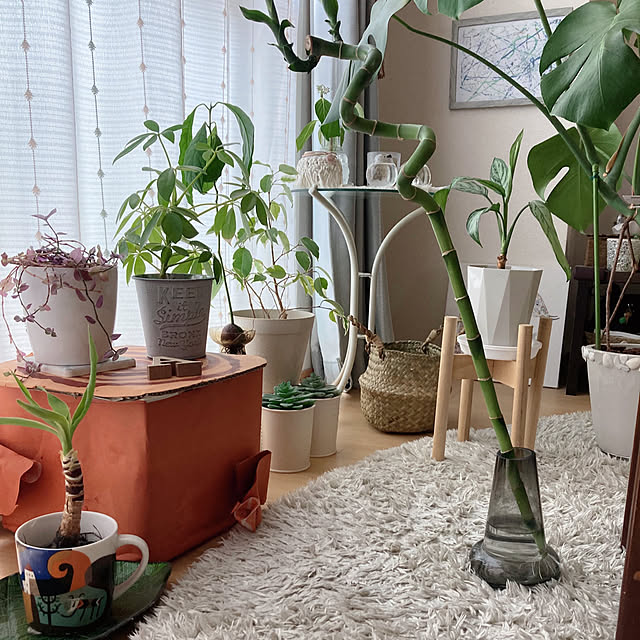 aiaiさんの部屋