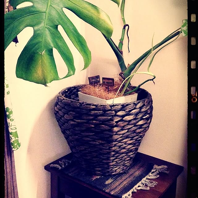 Rans_andy.さんの実例写真