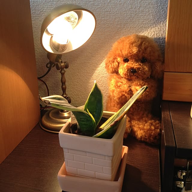 Yukinkoさんの実例写真