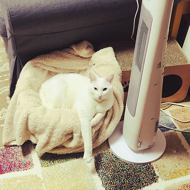 moyuhiさんの実例写真