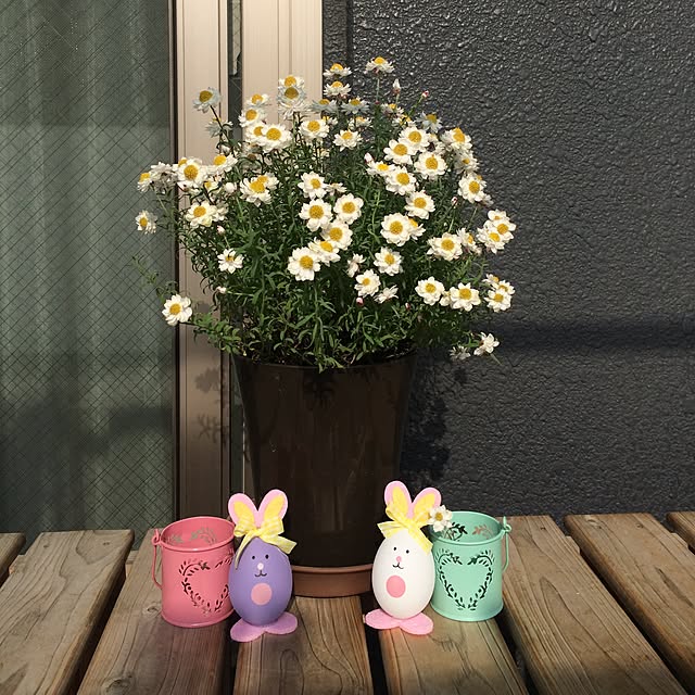 akinkoさんの実例写真