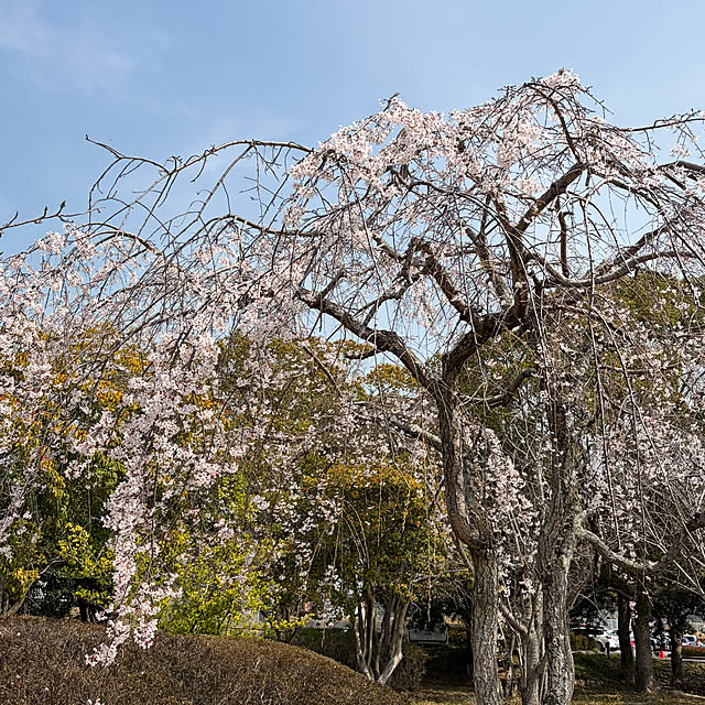 ritsukoさんの部屋