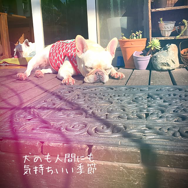 38coreさんの実例写真