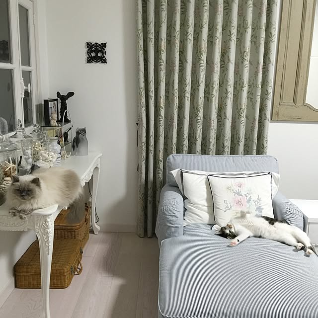 yuchiさんの実例写真