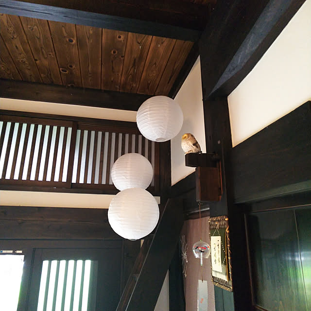 naoさんの実例写真