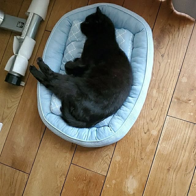 ramuramuさんの実例写真
