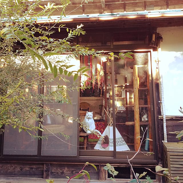 matatabi88さんの実例写真