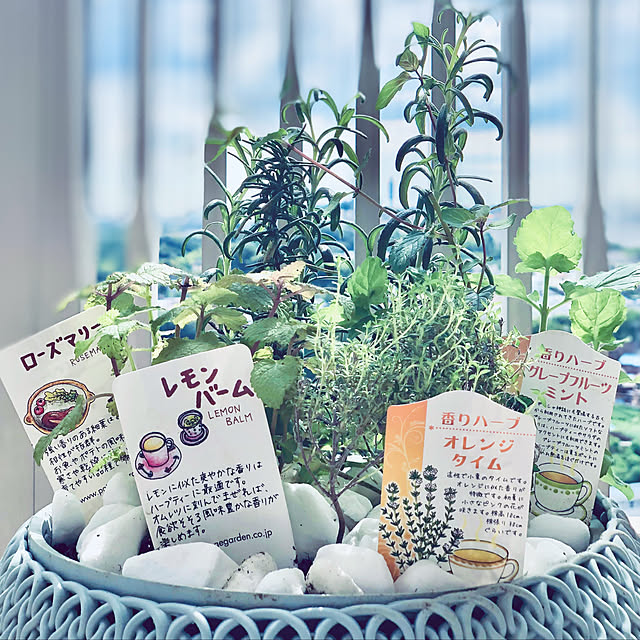 teracoyaWORLDさんの実例写真