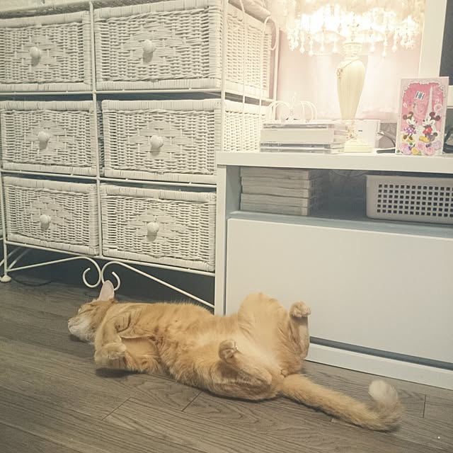 fu-ka24さんの実例写真