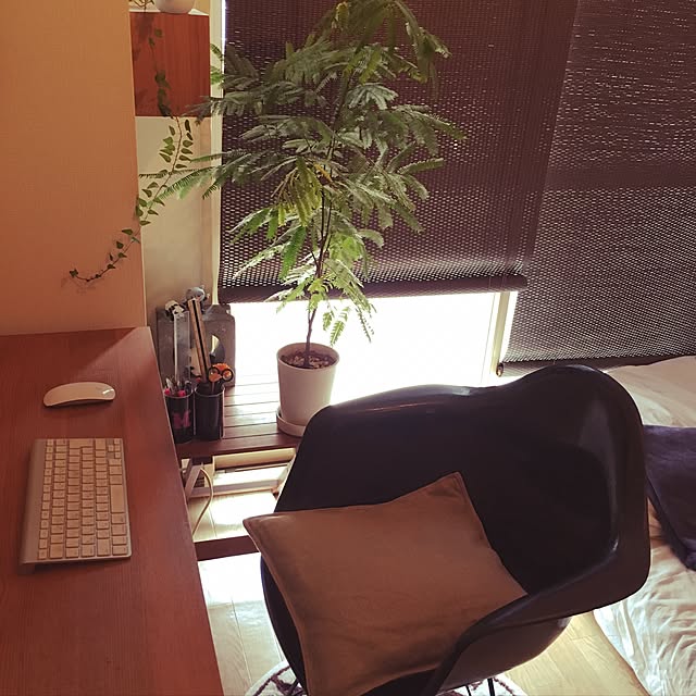 shirokumaさんの実例写真