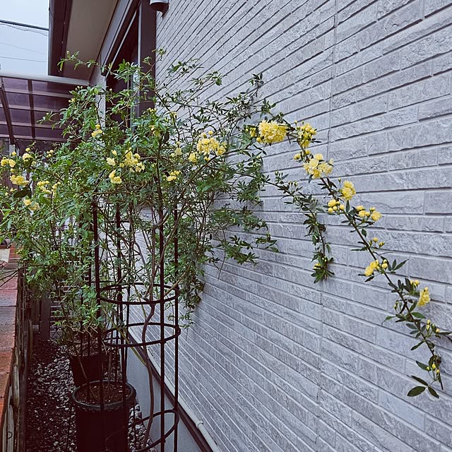 mocomocoさんの実例写真