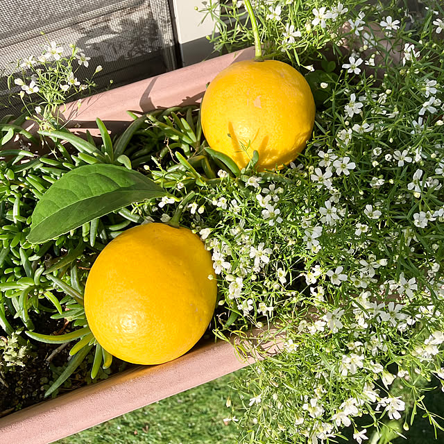 tararaさんの部屋