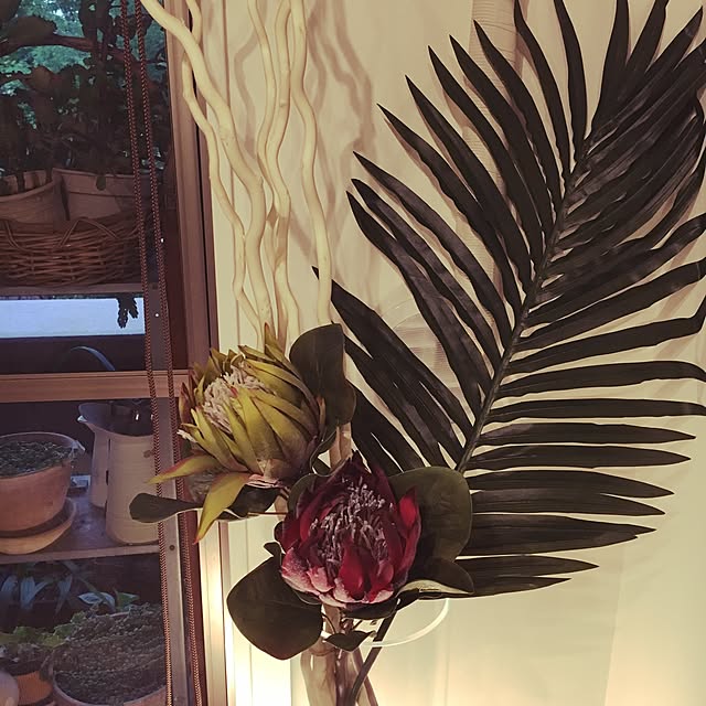 kan2さんの実例写真