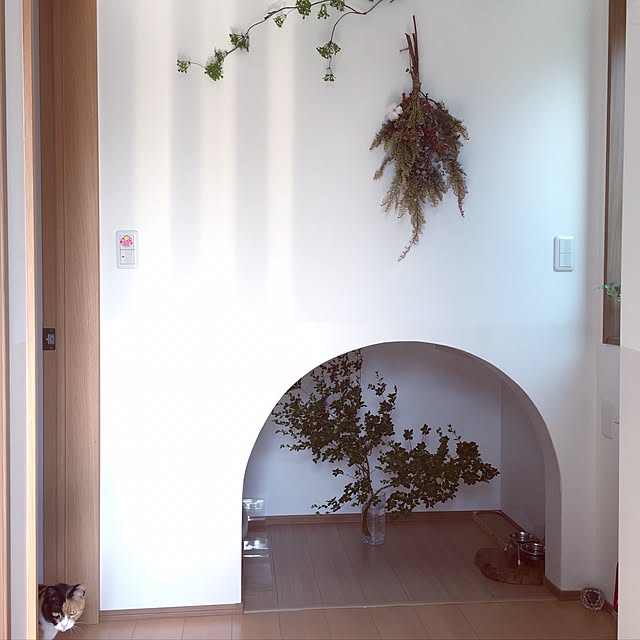meguchiyoさんの実例写真