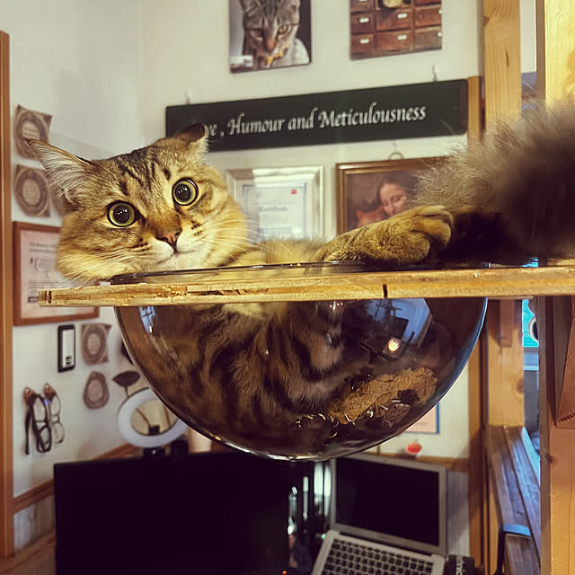 Mさんの実例写真