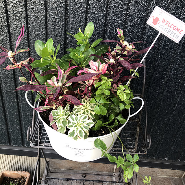 izumiさんの実例写真