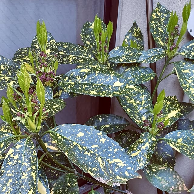 hiro.904さんの実例写真