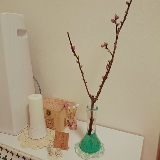 ahi-oraさんの実例写真