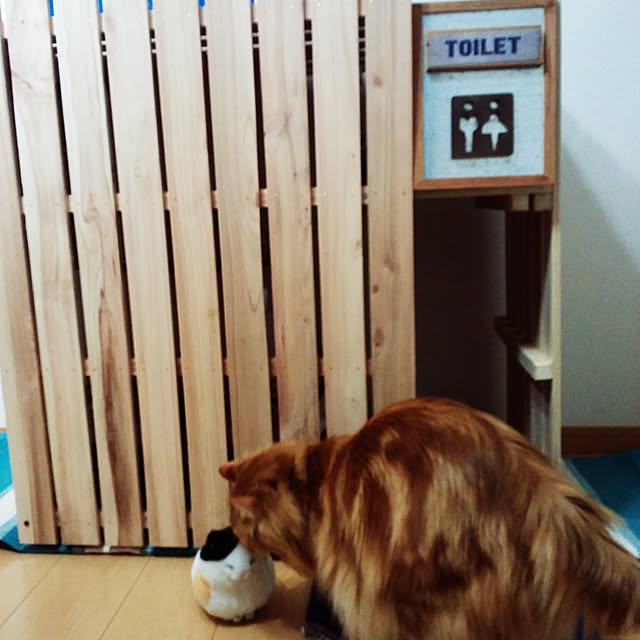 l..tomesanさんの実例写真