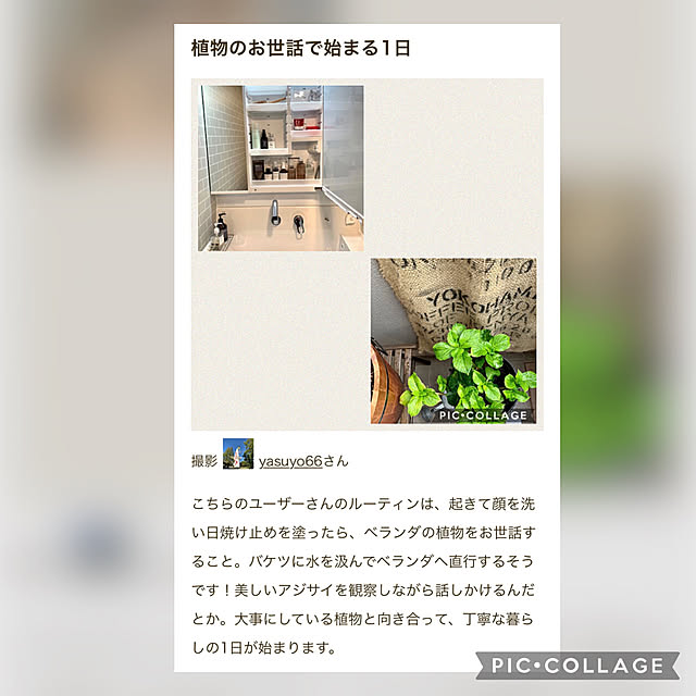 yasuyo66さんの実例写真