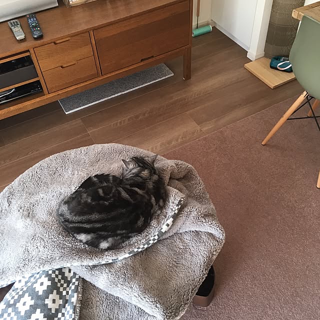 mikomaruさんの実例写真