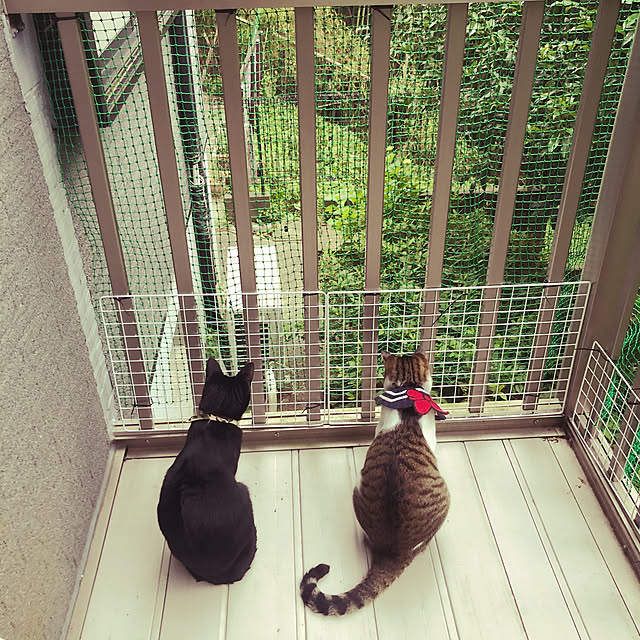 jijiさんの実例写真