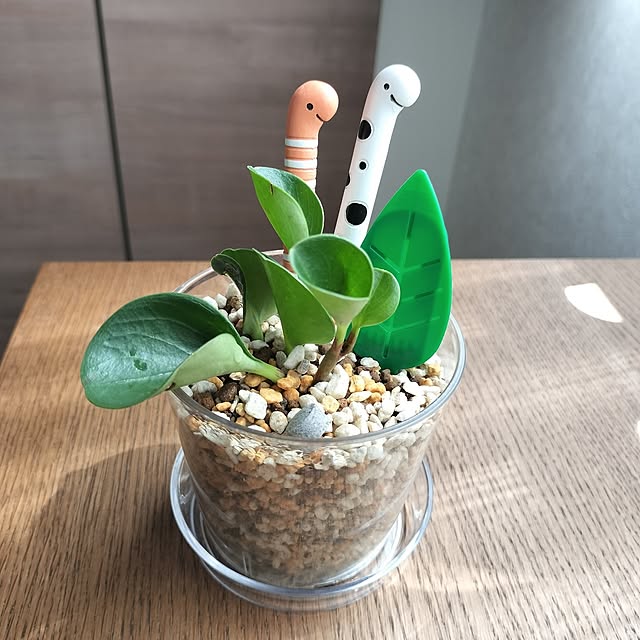pecoさんの部屋