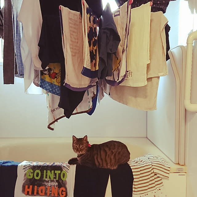 maoshinさんの実例写真