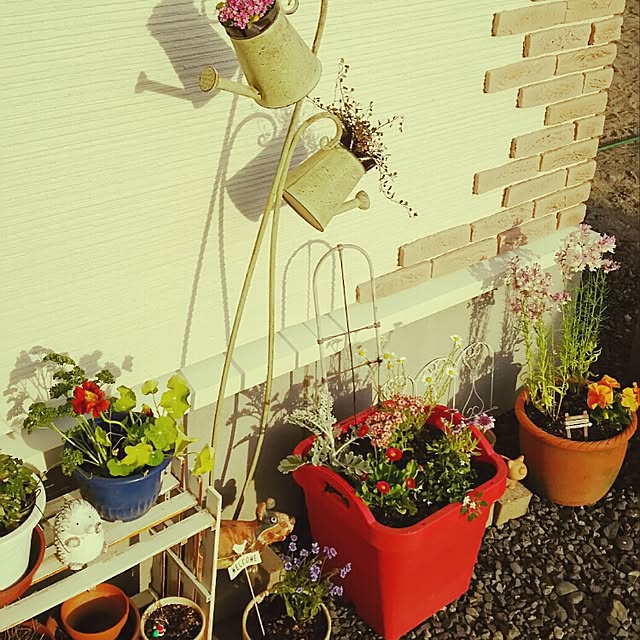 実例写真