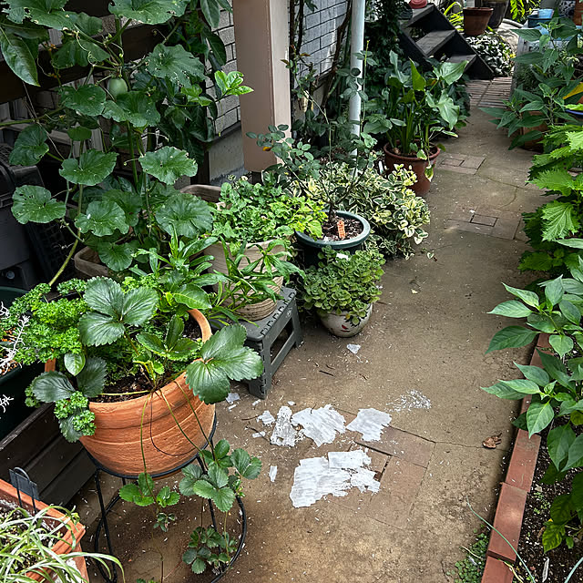 botanさんの部屋