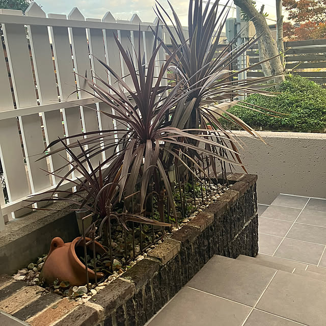 WAKKOさんの部屋