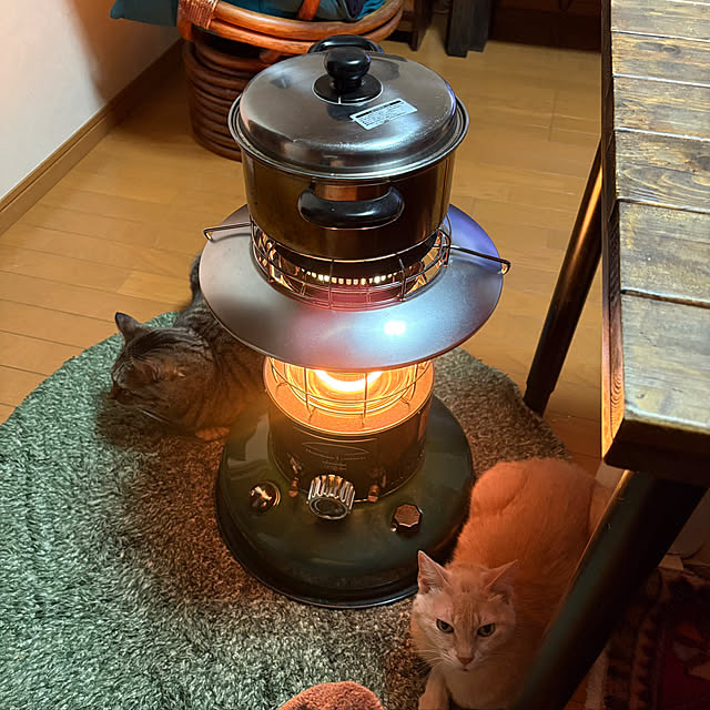 mikan161さんの実例写真