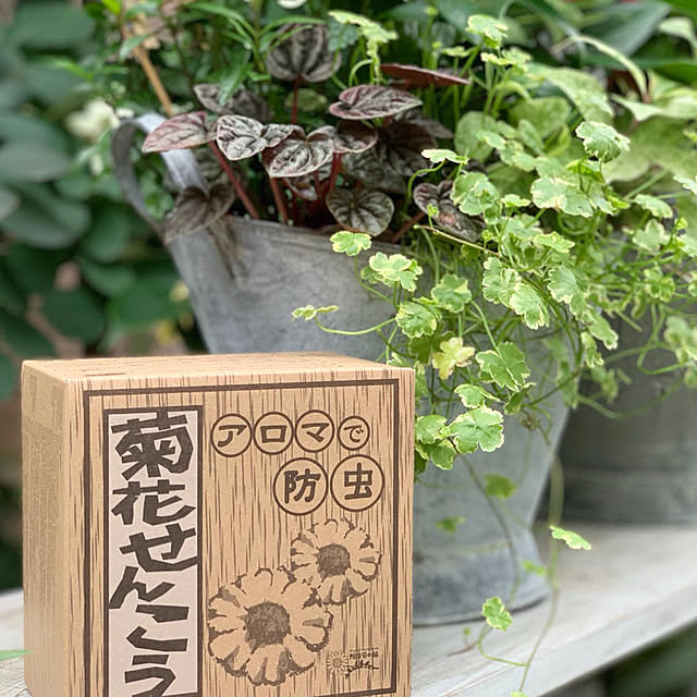 Royal_Gardeners_Clubさんの実例写真