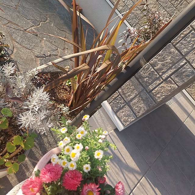 anmomaruさんの部屋