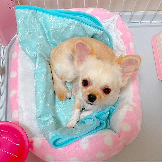 ria_maruさんの実例写真