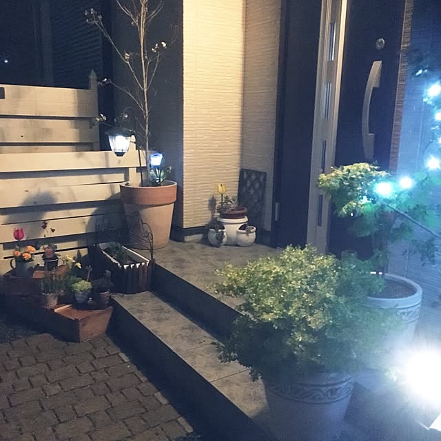 tomさんの実例写真