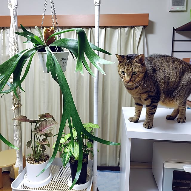 nachiさんの部屋