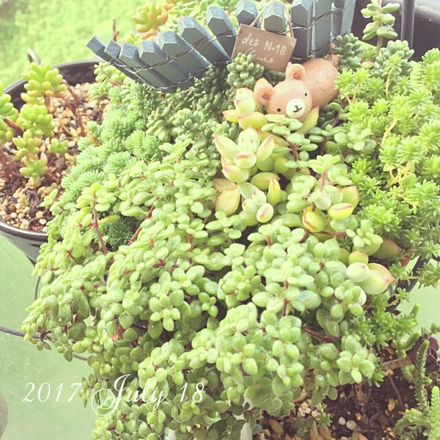 mockさんの実例写真