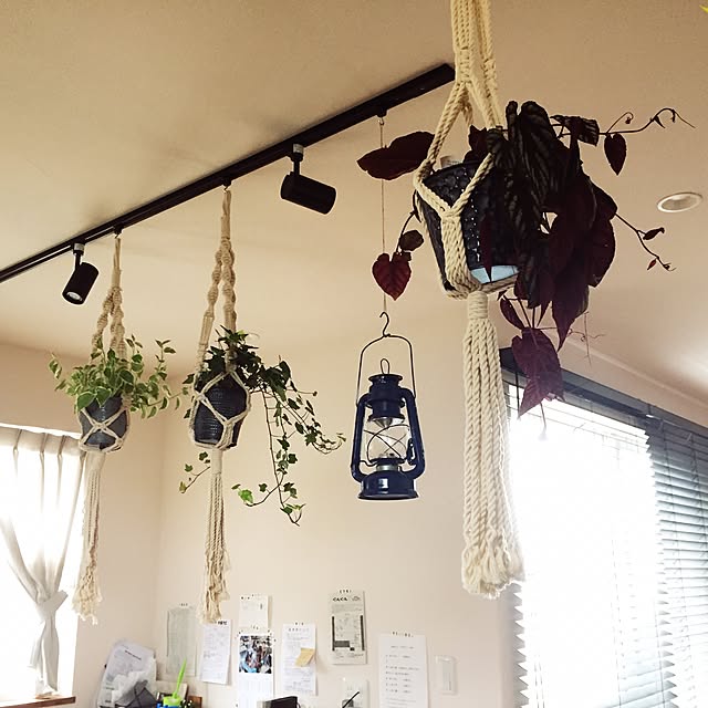 maikoさんの実例写真