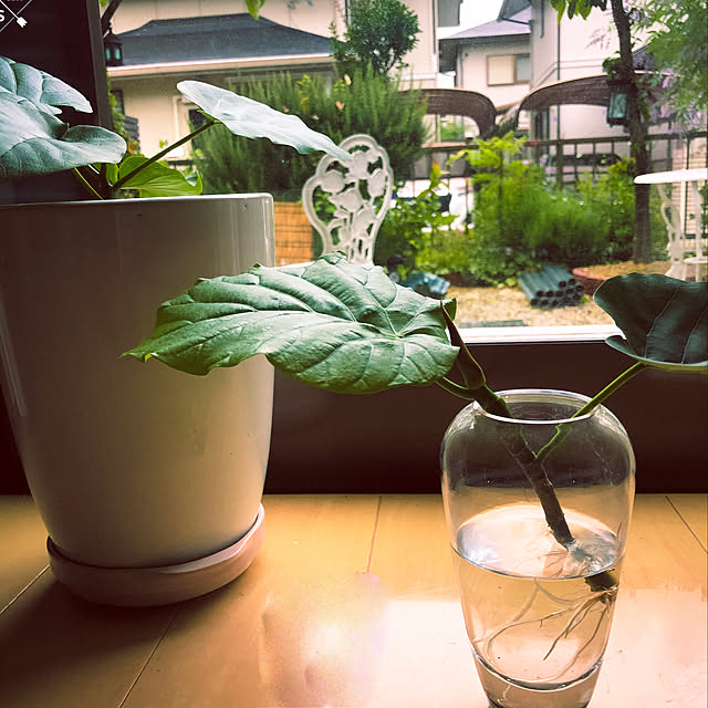 Aceさんの実例写真
