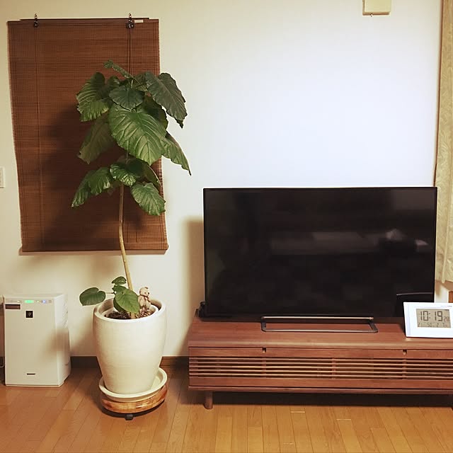 toto..kurinさんの実例写真